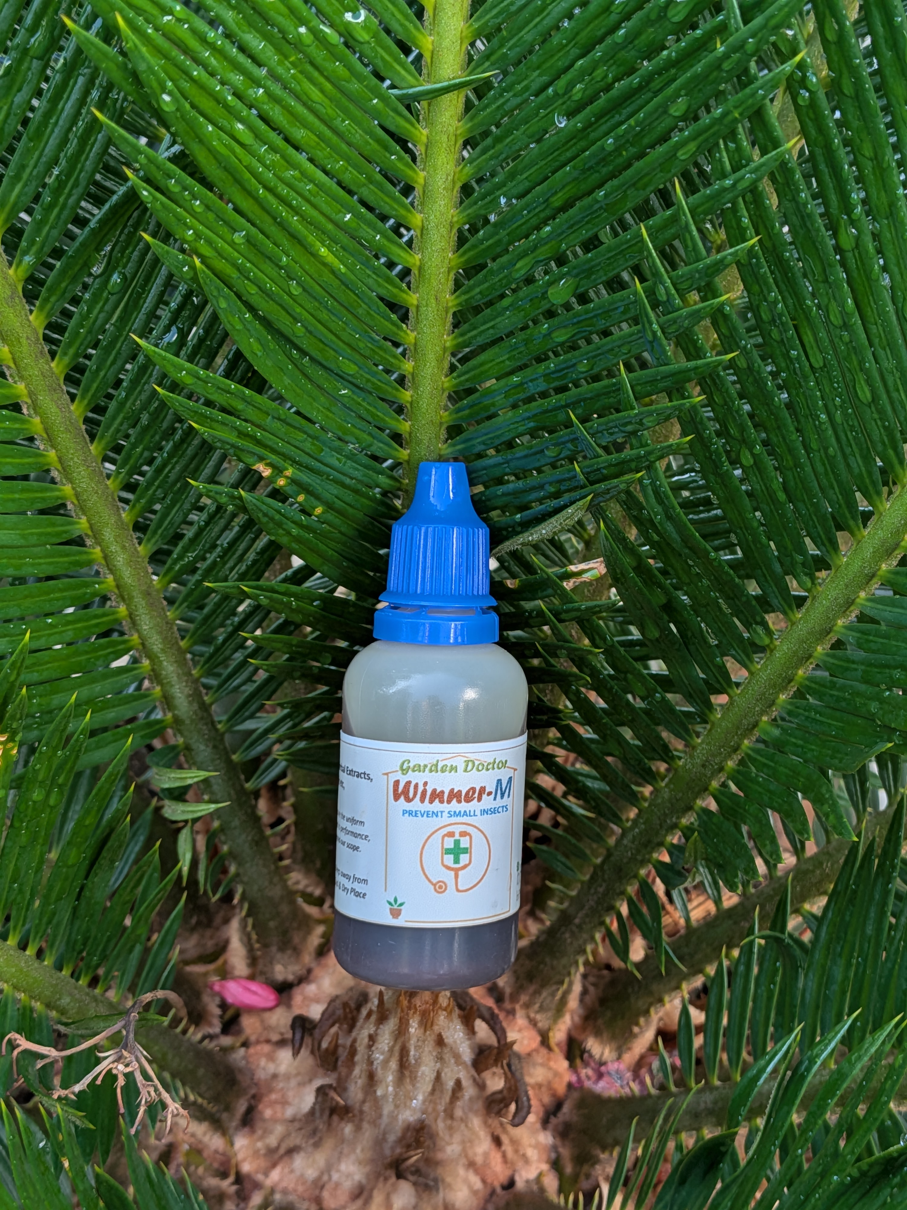 WINNER-M (10 ml) - Prevents Webs on Plants & Garden (Pack of 2) Shipping free